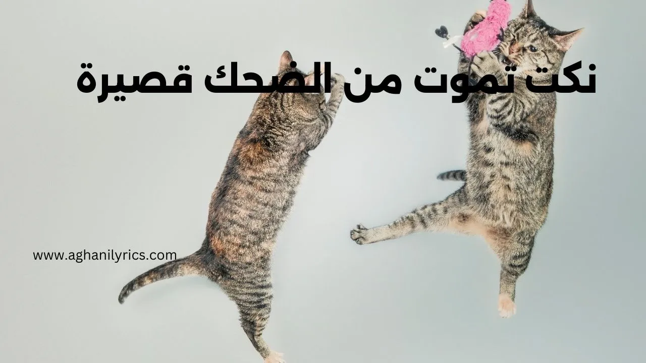 نكت تموت من الضحك قصيرة